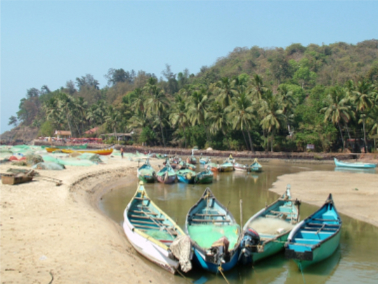 Baga boats Baga boats