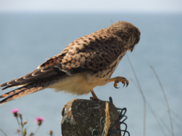 Patience is a virtue Patience is a virtue