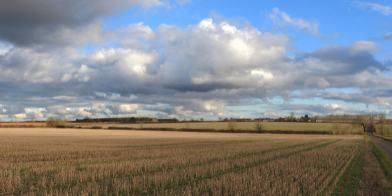 Suffolk Skies Suffolk Skies
