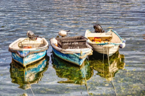 Boats in Mevagissey harbour Boats in Mevagissey harbour