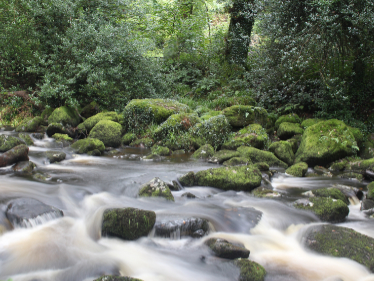 River Dart on Dartmoor River Dart on Dartmoor