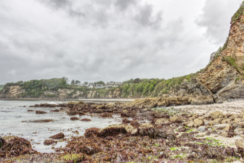 Rocky coast at Charlestown Rocky coast at Charlestown