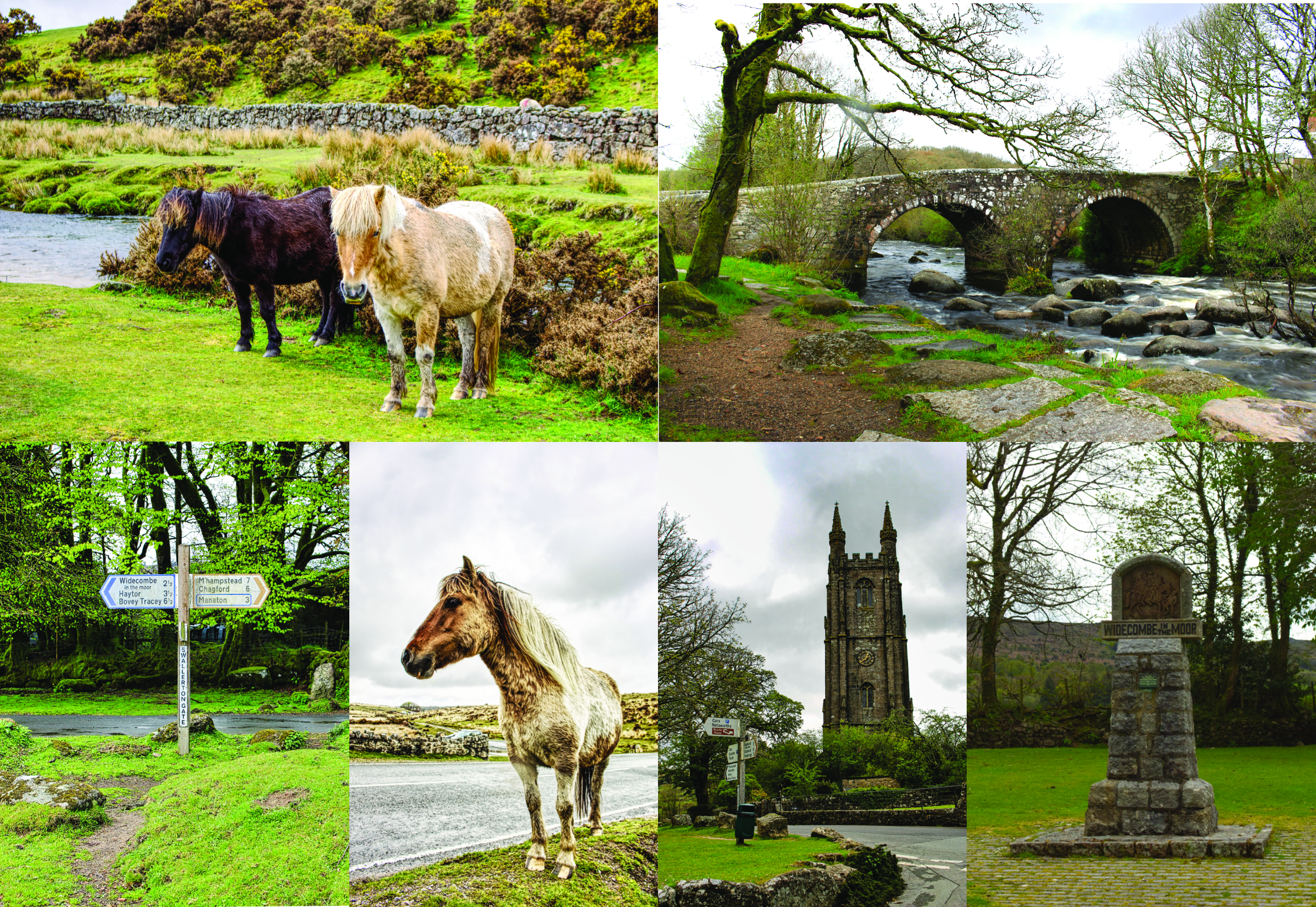 dartmoor_montage