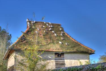 Suffolk Dovecote Suffolk Dovecote