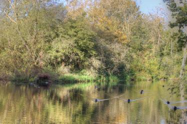 X marks the spot X marks the spot