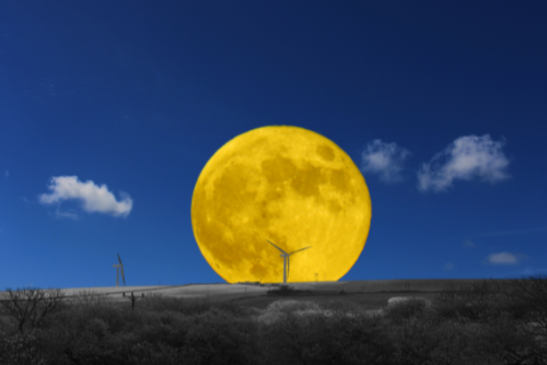 Flower Moon Flower Moon