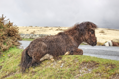 On my own. On my own.