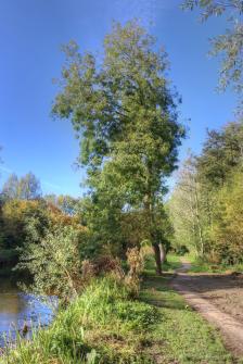 Stour path Stour path