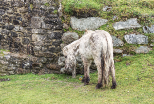 Scratch that itch Scratch that itch