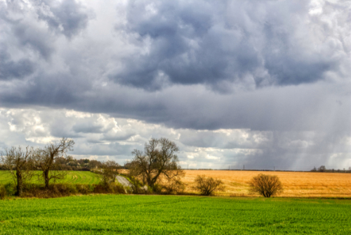 There is a storm brewing There is a storm brewing