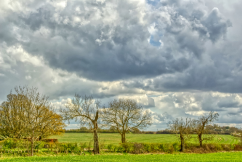 Rain on the way. Rain on the way.