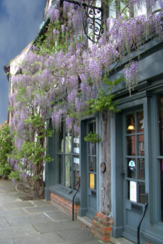 Trinders of Clare 2 Trinders of Clare 2